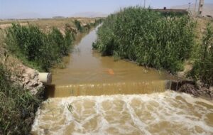 آبیاری مزارع کشاورزی آباده با پسآب فاضلاب رها شده اقلید تهدید جدی برای سلامت مردم