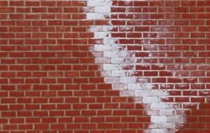 کارخانه آجر متقلب با شکایت مشتری سمج شیرازی کیش و مات شد