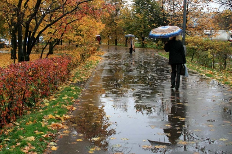 بارش باران هواشناسی