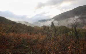 جزئیات پیش بینی ورود سامانه بارشی جدید و آغاز بارش در سراسر کشور