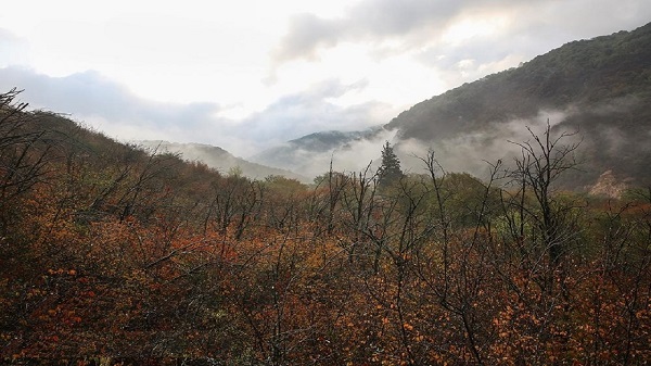 بارش باران