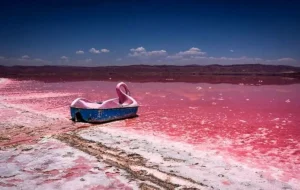 بلایی که فاضلاب شهری سَر تالاب مهارلو در شیراز آورد/غفلت محیط زیست ،گندابی از آرسنیک با نمک ۱۰۰ % سمی
