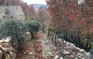 تصاویری از تفرجگاه مرغک استهبان که در حال نابودی است/ نارضایتی مردم از سکوت مسئولین