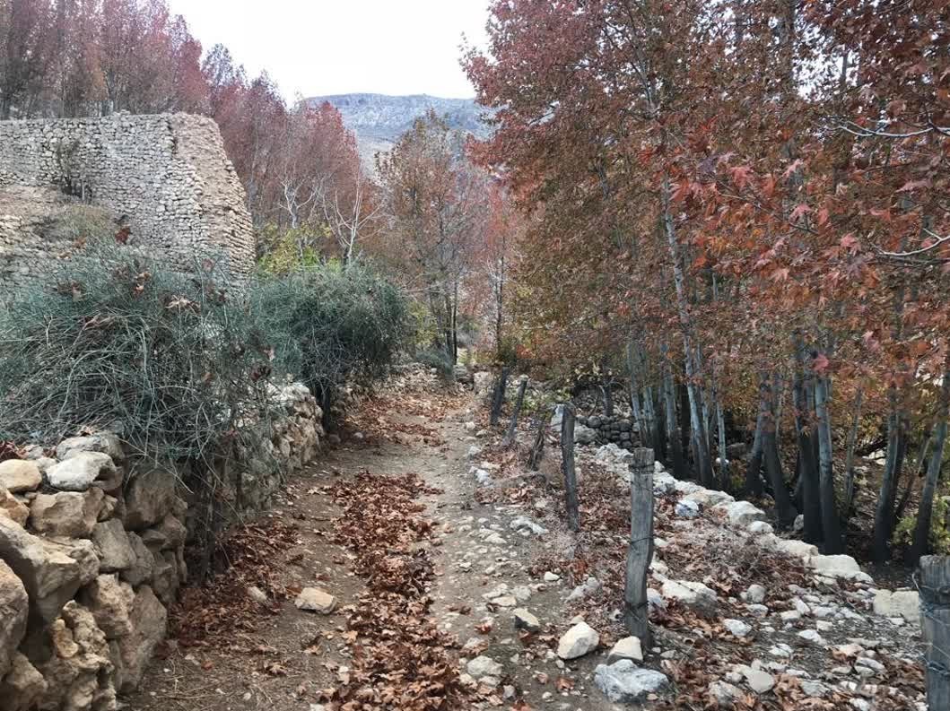 تفرجگاه مرغک استهبان 2