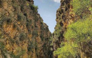 مرگ مرد میانسال بر اثر سقوط به دره تنگ اردشیری سپیدان