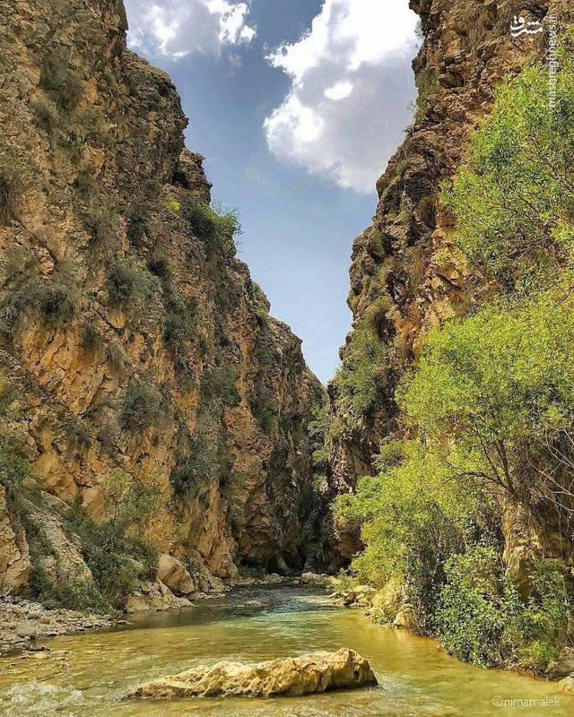 تنگ اردشیری