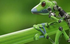 ساخت نخستین ربات‌های زنده از سلول‌های انسانی