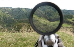 پیدا شدن راز جنایت مرد فسایی علیه حیوانات وحشی در گوشی اش