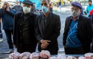 توزیع روزانه ۲۰ تُن مرغ گرم به قیمت کشتارگاه در فارس/ آدرس فروشگاه ها را بدهید لطفا !