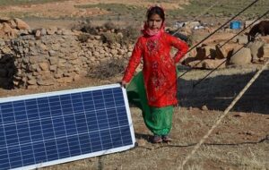 به همه عشایر بوشهر پنل خورشیدی رایگان داده می شود