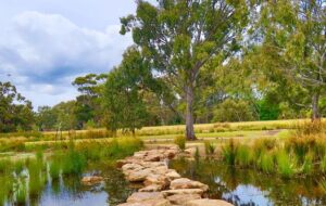 ۱۸ عکس زیبا از طبیعت که حالتون عالی بشه