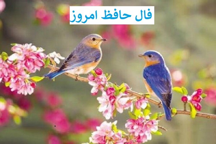 فال حافظ امروز