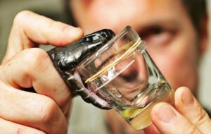 جزئیات عجیب قتل های سفارشی از شیراز تا تهران با زهر مار / قاتل سریالی آتش نشان بود