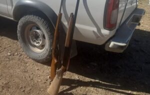 توقیف خودرو شکارچیان غیر مجاز حین قطع بلوط ها در گنجینه بزرگ شیراز