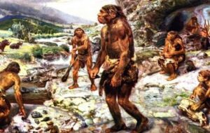 افراد سحرخیز ژن نئاندرتال ها را به ارث برده‌اند