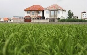 تداوم فساد و تخریب زمین های کشاورزی برای ساخت ویلا که به راحتی تبدیل می‌کنند