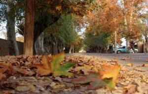 پیش بینی ۵ روزه آب و هوای مناطق مختلف استان فارس/ ورود سامانه بارشی به فارس از ۲۲ آذر