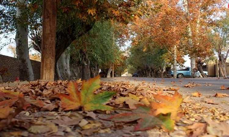 پاییزخشک
