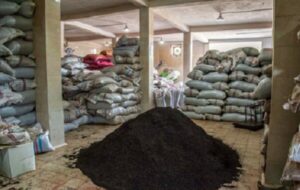 جزئیات جدیدی از فساد ۳میلیارد دلاری چای دبش در دو سال اخیر