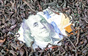 با پول اختلاسِ «چای دبش» حقوق هر بازنشسته چقدر زیاد می‌شد؟