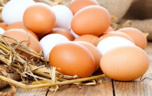 با ۵ تکنیک ناب تخم مرغ سالم را از فاسد تشخیص دهید