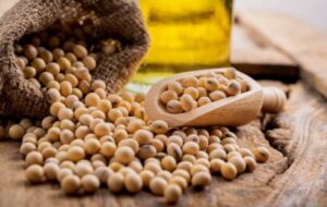 اصول صحیح نگهداری سویا در حالت های مختلف