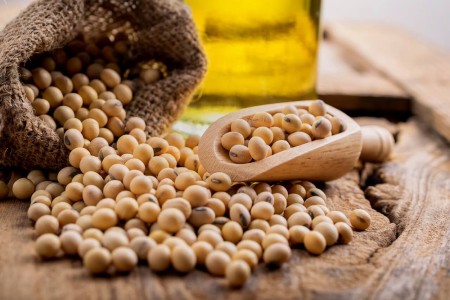 روش نگهداری سویا
