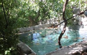 شناسایی هزاران آب دُزد در استان فارس که برخی شان کنتور دار شدند