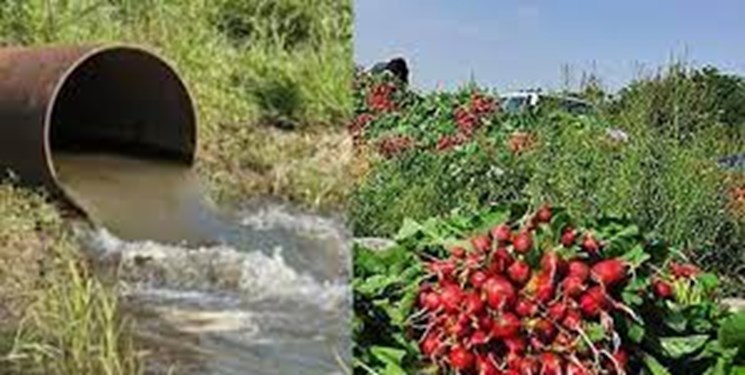 آبیاری با فاضلاب 1