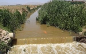 گشت کت و شلواری ها حریف آبیاری با فاضلاب در شیراز نشد!/عزل کارشناسی که شفاف سازی می کرد