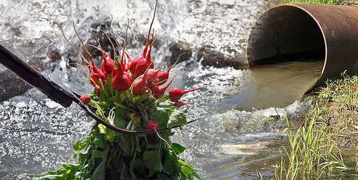 آبیاری با فاضلاب