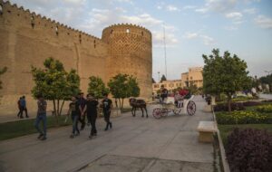 ثبت نشدن تاریخ شیراز در فهرست میراث جهانی یونسکو فقط بخاطر ۱ هتل