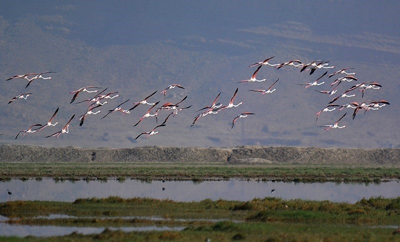 تالاب کمجان 2