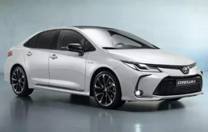 جریمه ۶ میلیارد تومانی و مصادره اموال مرد قاچاقچی در میناب