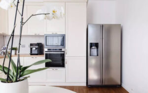 این چیزها را قبل از خرید انواع یخچال فریزر ندانید بدجور می اندازند