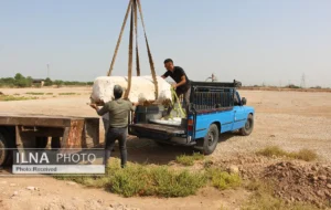 جزئیات جالبی از کشف خمره‌های باستانی در محلۀ کوروش اهواز