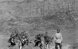 مشاهدات یک جهانگرد انگلیسی از دشت ارژن شیراز در ۲۲۲ سال پیش