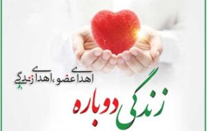 اهدای اعضای بدن بانوی دوچرخه سواری که در مسیر شیراز _ فیروزآباد دچار حادثه شد