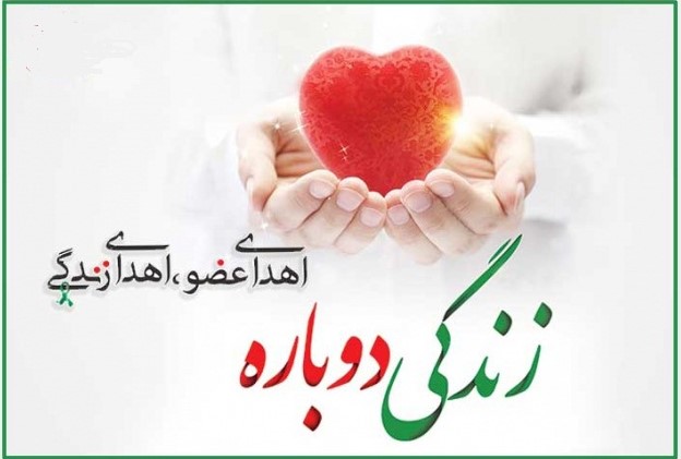 زندگی دوباره