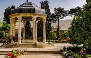 قطع سرو زیبای آرامگاه حافظ در شیراز+فیلم