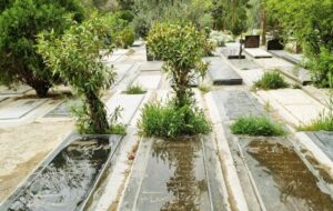 فروش سنگ قبر عجیبی که در ایران فقط ۲ نمونه دارد+فیلم