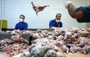 شرکتی که کارش سوسیس و کالباس تقلبی بود نقره داغ شد