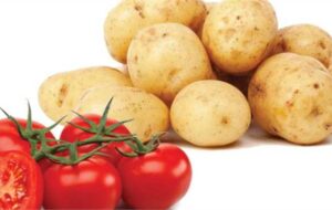 کاهش نرخ سیب زمینی و گوجه فرنگی در میادین/ دولت سیب زمینی را خرید تضمینی کند