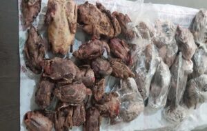 دستگیری چند تبعه خارجی با لاشه شکارها در فرودگاه شیراز