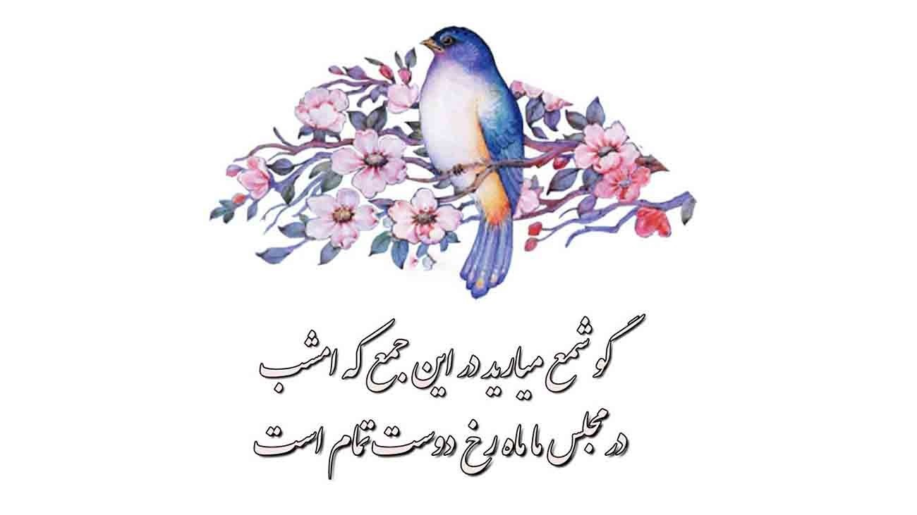 فالحافظ 3