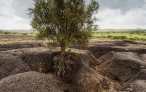 کسی باور ندارد سر خاک ایران چه آورده ایم !