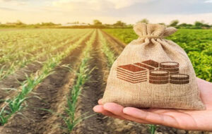 با لغو معافیت مطلق مالیاتی کشاورزی ، جیب کشاورزان منبع درآمدی جدید دولت