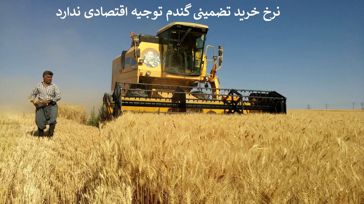 نرخ خرید تضمینی گندم توجیه اقتصادی ندارد