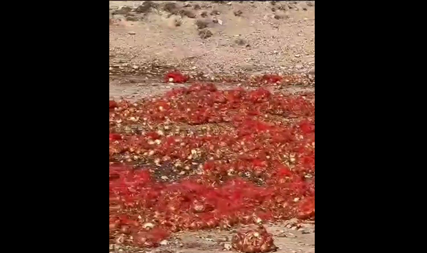 نقش رستم e1705547534310