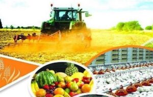 راه‌اندازی پایانه محصولات کشاورزی استان فارس چه شد؟ دلالان با بخش کشاورزی خداحافظی کردند؟!